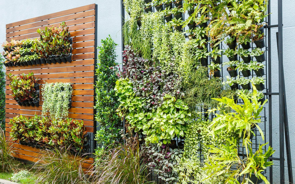 Cómo hacer un jardín vertical natural? Ideas y consejos – REVISTA  FOROPINION ESPAÑA