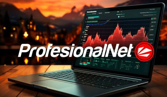 ProfesionalNet: ¿Cuánto tiempo tardan las acciones de Posicionamiento web en dar resultados?