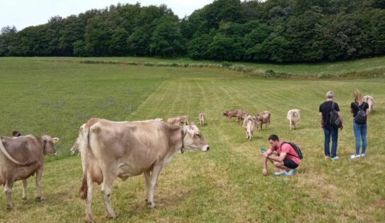 El sector del vacuno de leche europeo visita Euskadi buscando las mejores técnicas