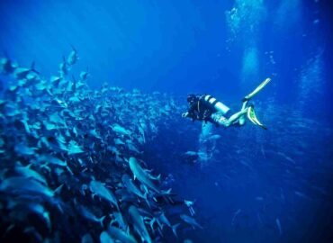 Respirar ‘lujo silencioso’ en Los Cabos: experiencias únicas, personalizadas y en armonía con la naturaleza