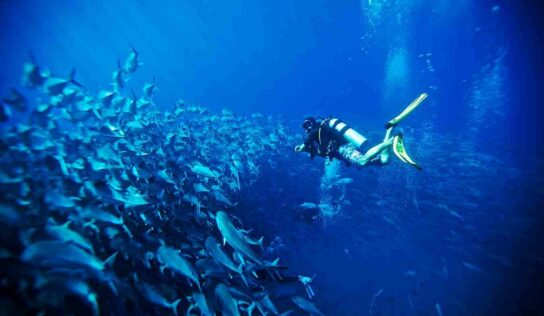 Respirar ‘lujo silencioso’ en Los Cabos: experiencias únicas, personalizadas y en armonía con la naturaleza