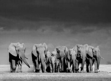 El español José Miguel Angulo Manso, gana el primer premio de los ‘International Photography Awards – 2024’