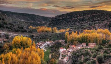 El otoño: colores y setas en la Sierra Norte de Guadalajara