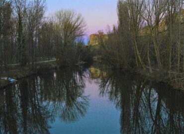 El Patrimonio Natural de la Red Medieval, válvula de escape en el puente de la Constitución y Navidades