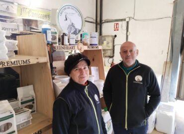 Greenheart: una revolución en la alimentación de mascotas