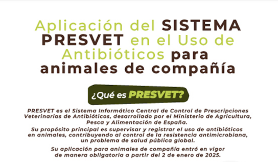 La aplicación del sistema PRESVET en este primer año en animales de compañía será de transición y rodaje y el sistema sancionador se revisará y se reducirá