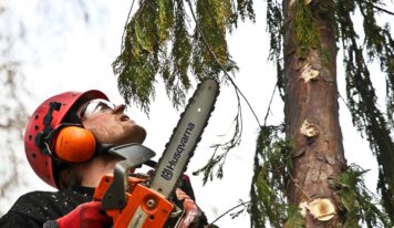 Diferentes tipos de poda de árboles y cómo cada uno beneficia a tu jardín