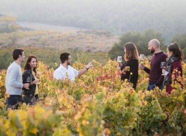 Bodegas Obergo, frescura y elegancia en los vinos blancos del Somontano