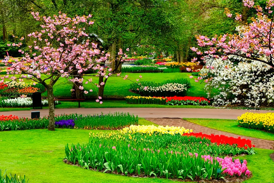 ¿Quieres renovar tu jardín? Guía de plantas y árboles para la primavera