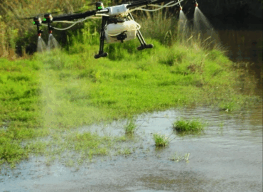 Es tiempo de activar los programas de control vectorial anticipados para la prevención y el control de mosquitos por parte de las administraciones