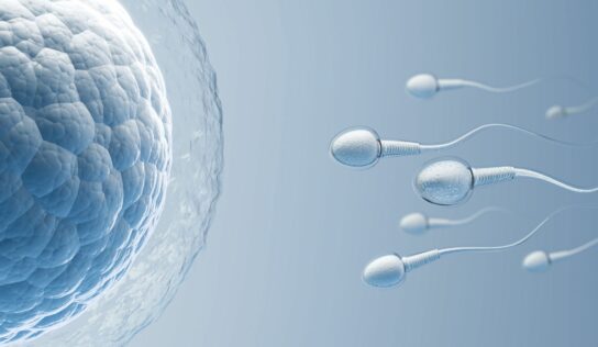 Dra. Estefanía Rodríguez, jefa del Servicio de Reproducción Asistida del Hospital de Día Quirónsalud Donostia y Policlínica Gipuzkoa: «La inteligencia artificial ya se utiliza para seleccionar óvulos y espermatozoides con mayor precisión»