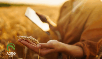 AgroUSD impulsa autonomía financiera en el campo con tecnología diseñada desde la producción