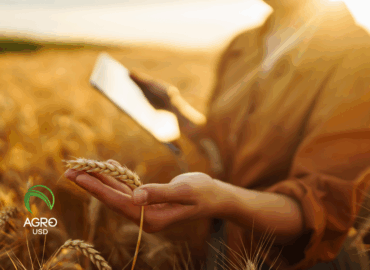 AgroUSD impulsa autonomía financiera en el campo con tecnología diseñada desde la producción