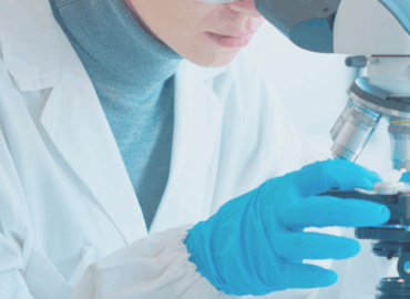 Conejos, clave en avances médicos: investigación ética impulsa la salud humana