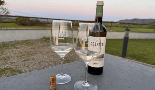 Bodegas Obergo participa en el Festival del Vino Somontano 2025 con nuevas propuestas y ediciones limitadas