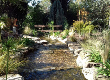 Tendencias de diseño de jardines en verano: ideas que transforman espacios
