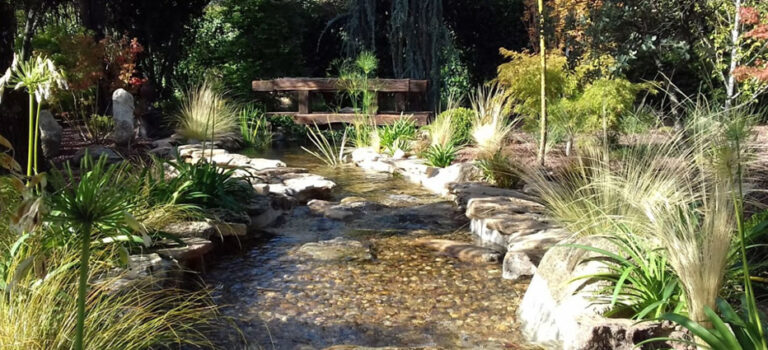 Tendencias de diseño de jardines en verano: ideas que transforman espacios