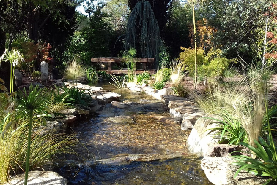 Tendencias de diseño de jardines en verano: ideas que transforman espacios