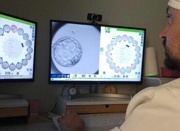 Un modelo de IA prevé con acierto del 82% el desarrollo de embriones con técnicas de reproducción asistida