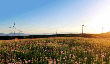 Energía verde en el corazón de Wumeng: Guizhou perfila un nuevo modelo de desarrollo de energías limpias de alta calidad