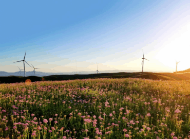 Energía verde en el corazón de Wumeng: Guizhou perfila un nuevo modelo de desarrollo de energías limpias de alta calidad