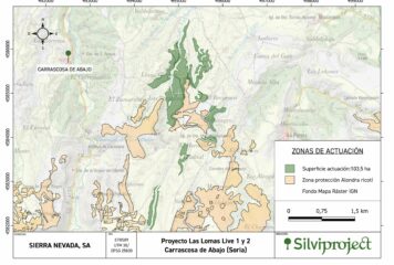 Así será el nuevo bosque de 119 hectáreas en Carrascosa de Abajo (Soria) diseñado con soluciones basadas en la naturaleza