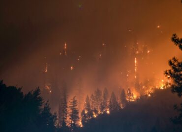 Allianz intensifica su protocolo especial ante los incendios que están asolando parte del país