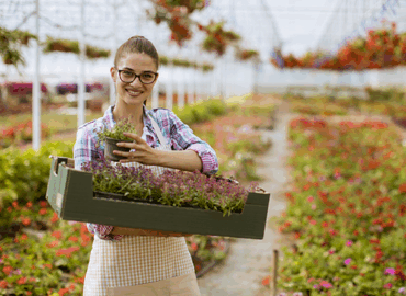 Formación Universitaria presenta su curso online preparatorio para el Título Oficial de Técnico Superior en Paisajismo y Medio Rural