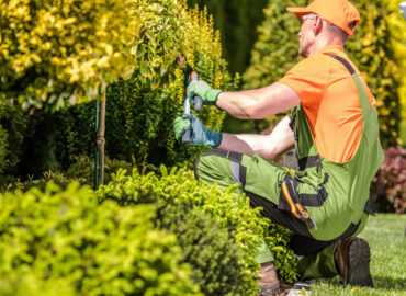 Espacios verdes: mucho más que estética y naturaleza