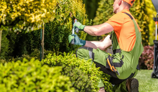 Espacios verdes: mucho más que estética y naturaleza
