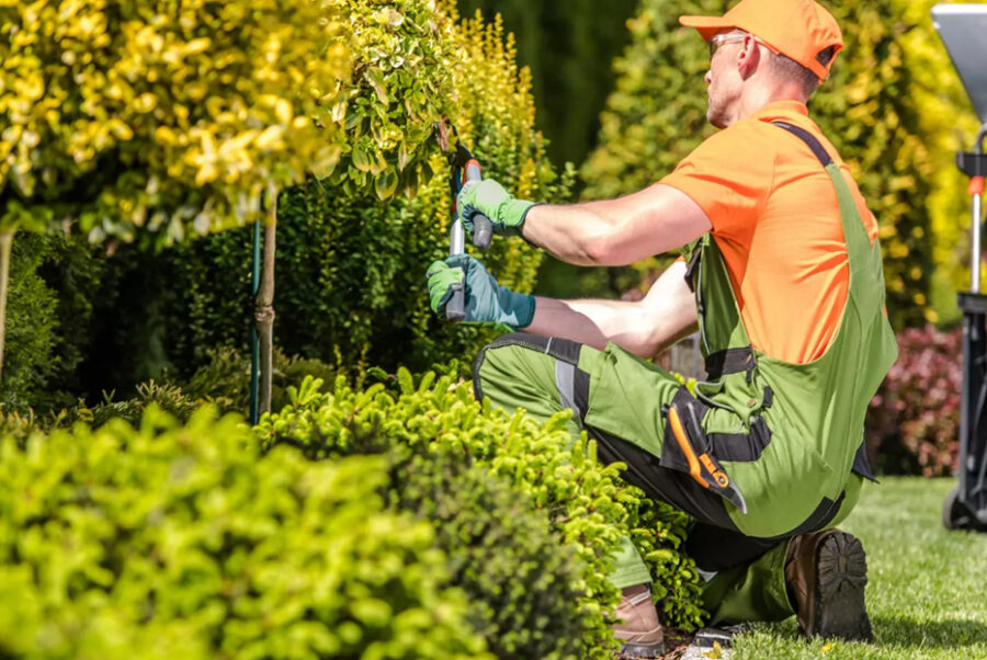 Espacios verdes: mucho más que estética y naturaleza