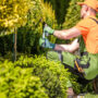 Espacios verdes: mucho más que estética y naturaleza