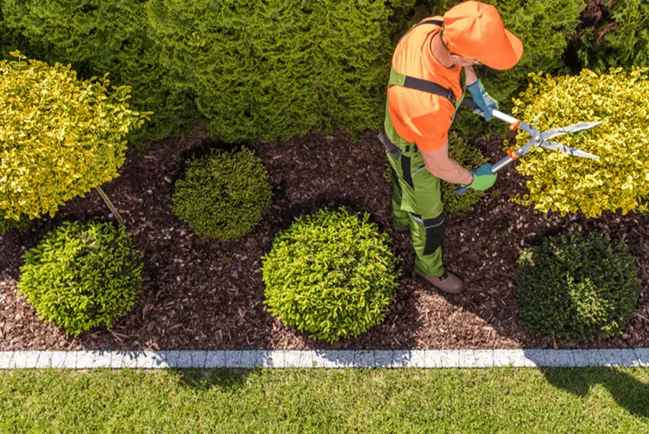La esencia de los jardines en la vida urbana