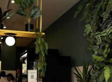 Lettus impulsa su expansión con nuevas aperturas en España