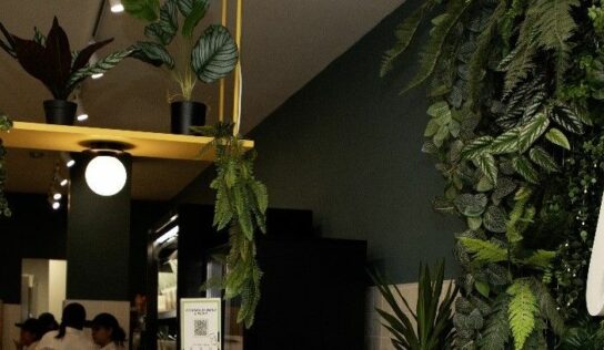 Lettus impulsa su expansión con nuevas aperturas en España