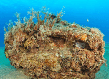 La Fundación Ona Futura cumple 5 años con el objetivo de invertir 5 millones hasta 2030 e iniciar su internacionalización