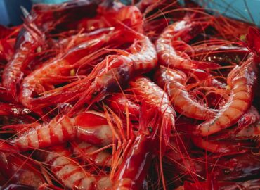 MSC celebra en CONXEMAR 2025 la sostenibilidad de la pesca ibérica y destaca la entrada de la gamba roja de Palamós en su Programa de Mejora