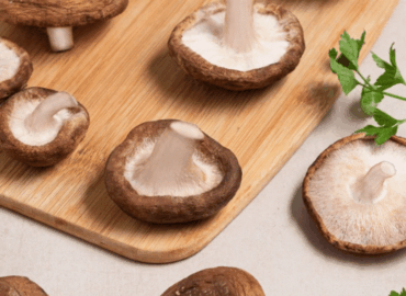 ‘Champiñones y setas europeas’, un ingrediente, infinitas posibilidades