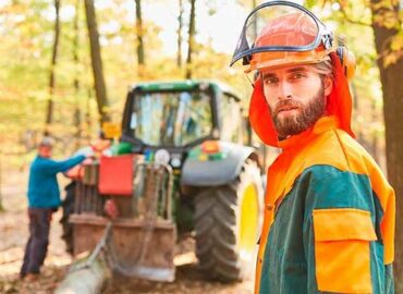 Formación Universitaria prepara para el Título Oficial de Técnico Superior en Gestión Forestal y del Medio Natural