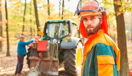 Formación Universitaria prepara para el Título Oficial de Técnico Superior en Gestión Forestal y del Medio Natural