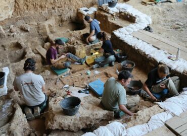 Los caballos más antiguos del linaje ibérico salen a la luz en las excavaciones de La Malia en Tamajón