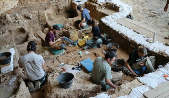 Los caballos más antiguos del linaje ibérico salen a la luz en las excavaciones de La Malia en Tamajón