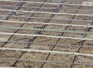 Estudio internacional revela el impacto de la ganadería industrial en las metas climáticas