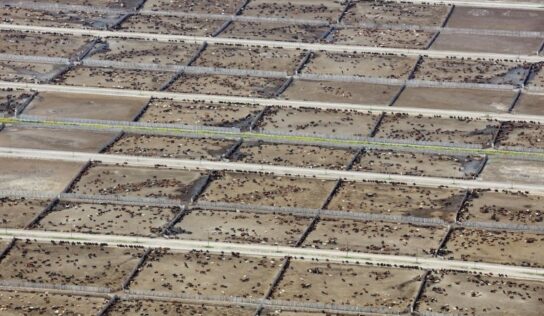 Estudio internacional revela el impacto de la ganadería industrial en las metas climáticas