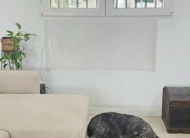 Lanzan un radiador ‘made in Murcia’ que ahorra un 70% en electricidad