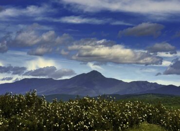 ADEL impulsó la economía rural con ayudas a asociaciones y ayuntamientos