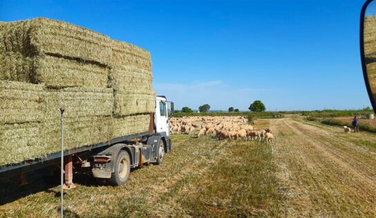 BioPalacín Planet se consolida en el mercado gracias al aumento del valor que el consumidor otorga a los alimentos km 0