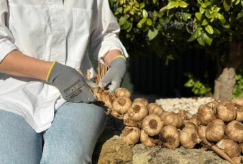 La Abuela Carmen reinventa el trenzado ancestral con su ajo negro