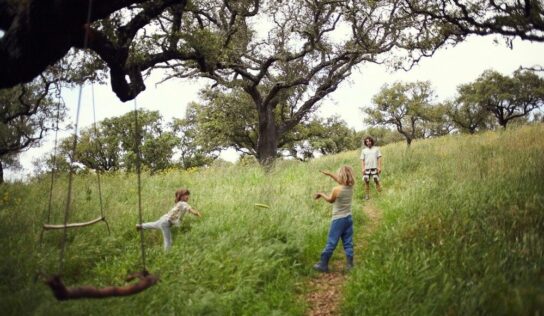 Traditional Dream Factory supera los 1,2 millones de euros y lidera la economía regenerativa en Europa