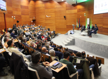 Sevilla analiza su futuro energético en la I Jornada de la Energía